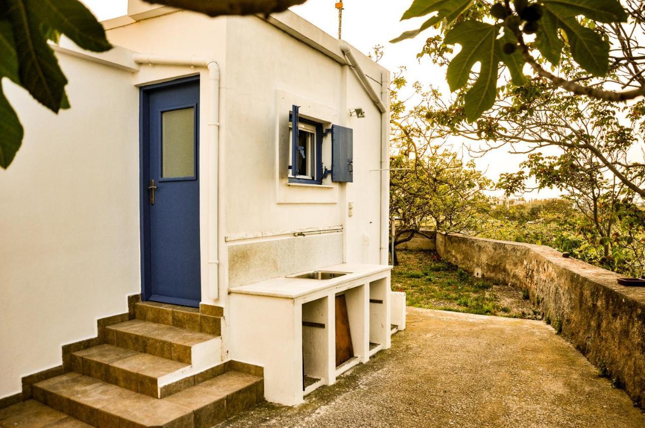 Elena'S Guest House Aegina Zewnętrze zdjęcie